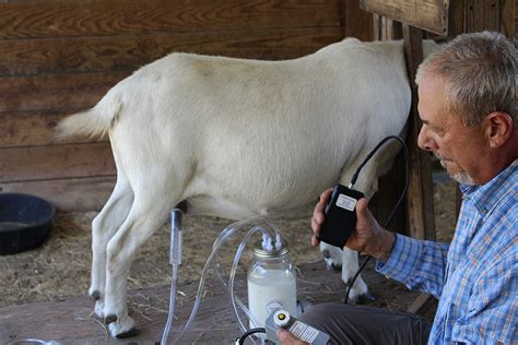 goat milking machine|8 BEST Goat Milking Machines Tested for Farmers in 2022.